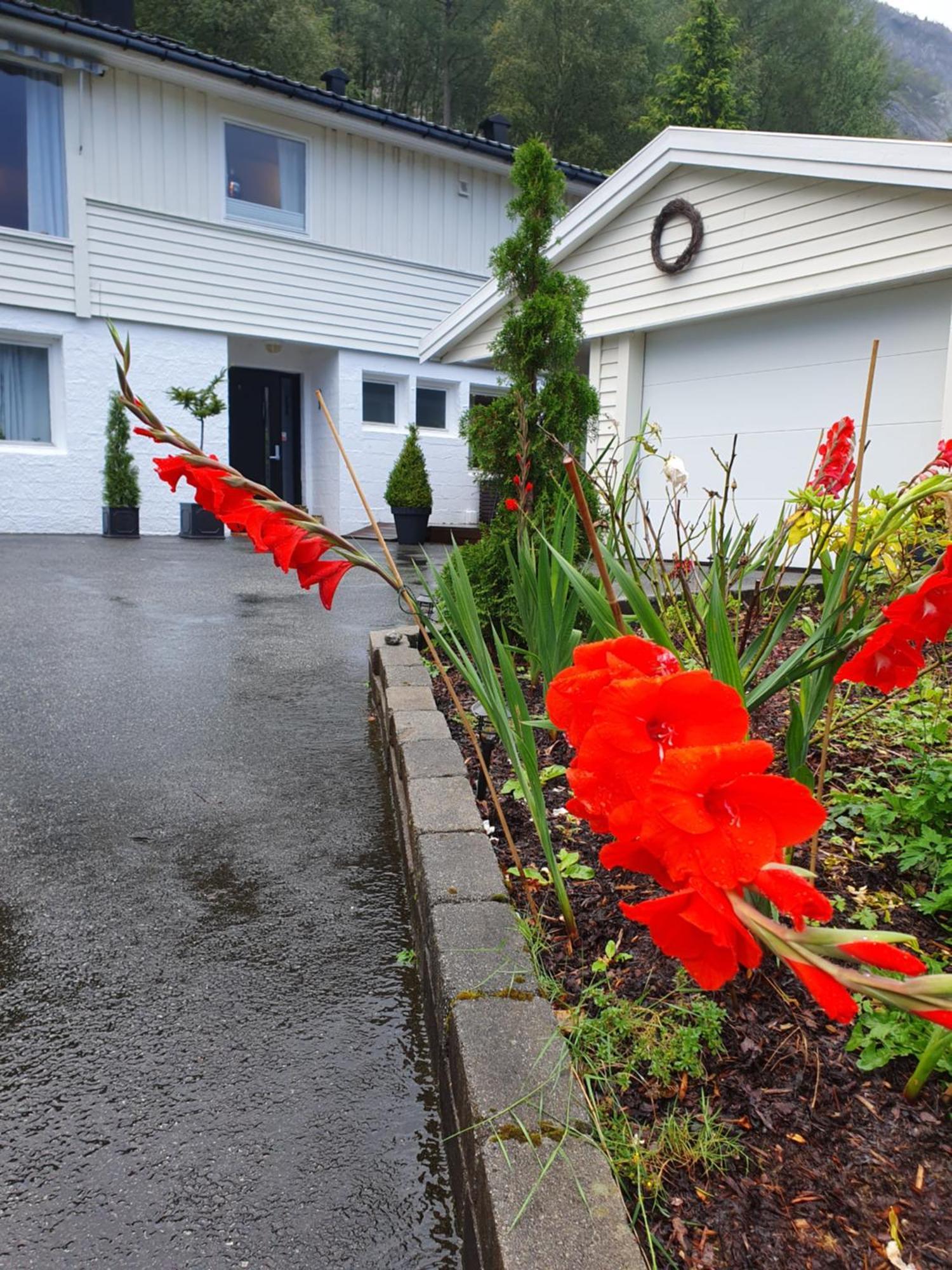 Ustigen Appartement Oltedal Buitenkant foto